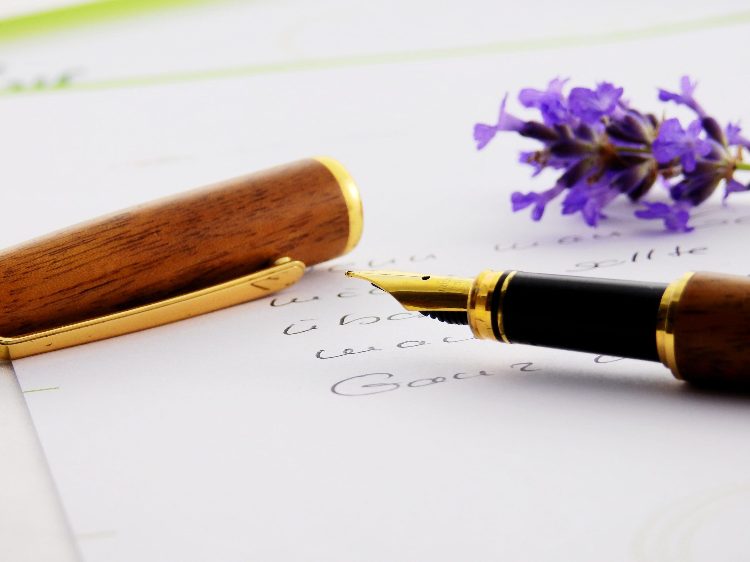Stylo plume avec lavande pour écriture
