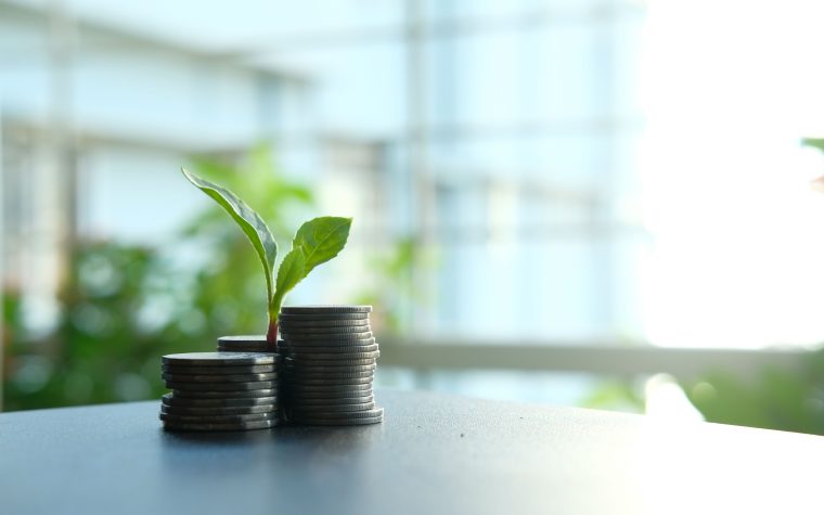 Jeune plante poussant sur pièces empilées